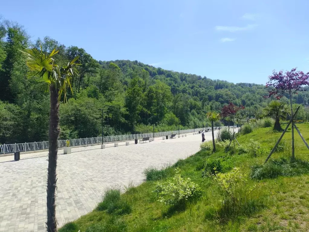 1-к кв. Краснодарский край, Сочи ул. Искры, 88к2 (37.0 м) - Фото 2
