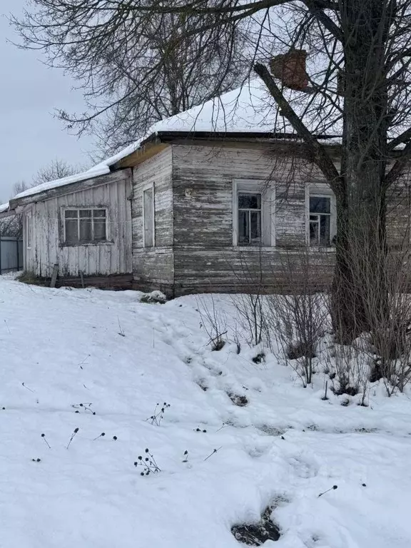 Студия Вологодская область, д. Березник  (20.1 м) - Фото 1