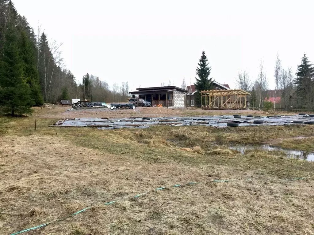 Участок в Ленинградская область, Выборгский район, Советское городское ... - Фото 1