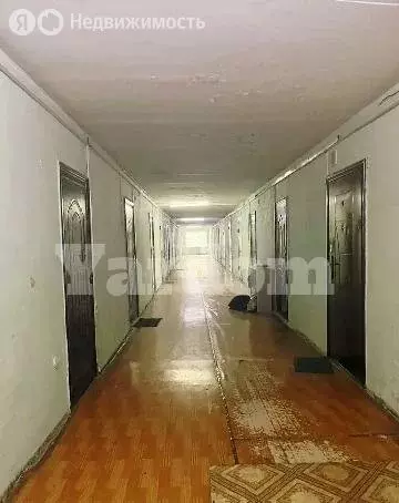 Квартира-студия: Красноярск, улица Курчатова, 6 (17 м) - Фото 0