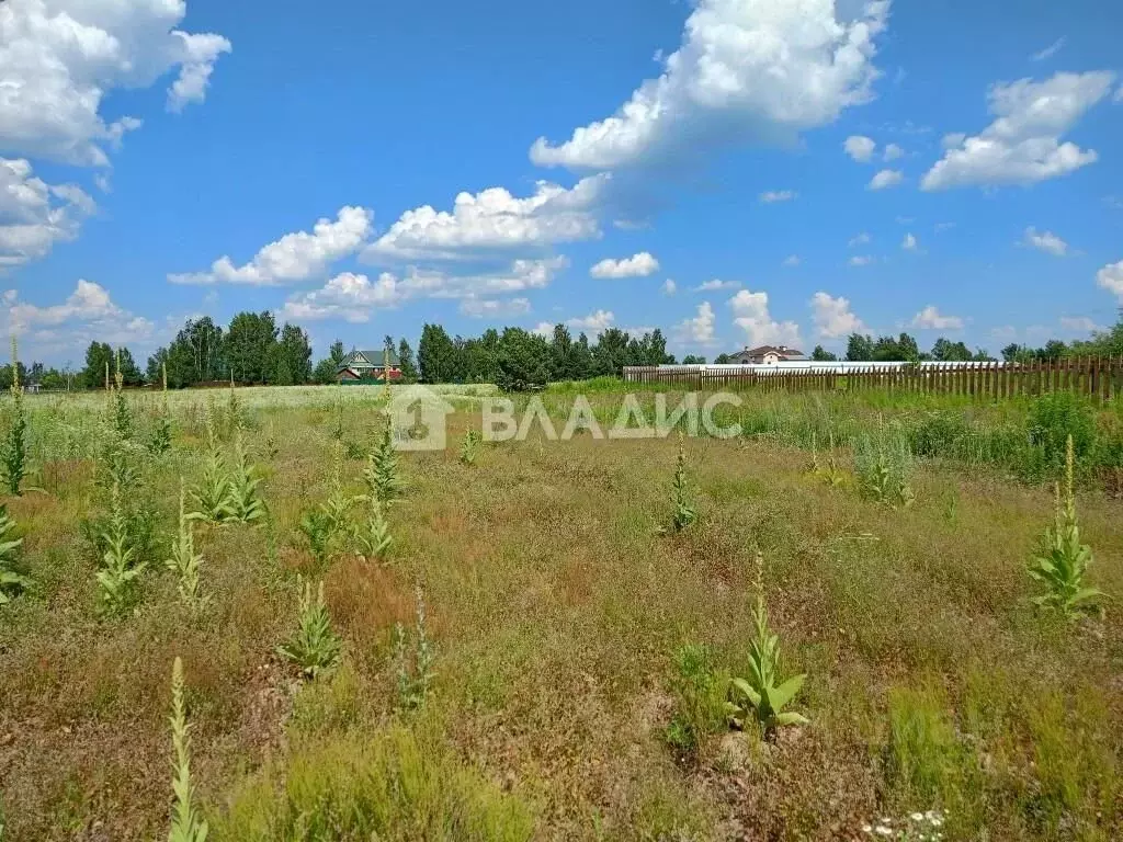 Участок в Владимирская область, Суздальский район, Боголюбовское ... - Фото 0