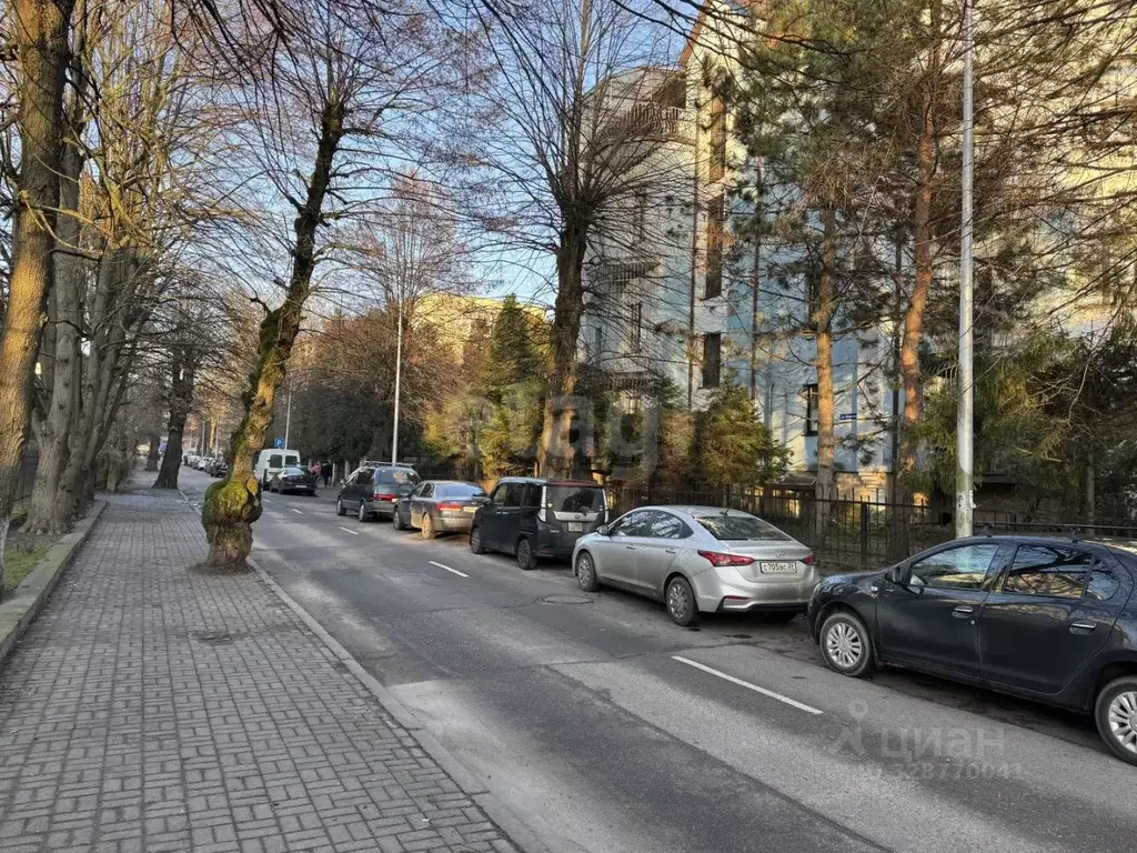 Офис в Калининградская область, Калининград ул. Пушкина, 11А (65 м) - Фото 2