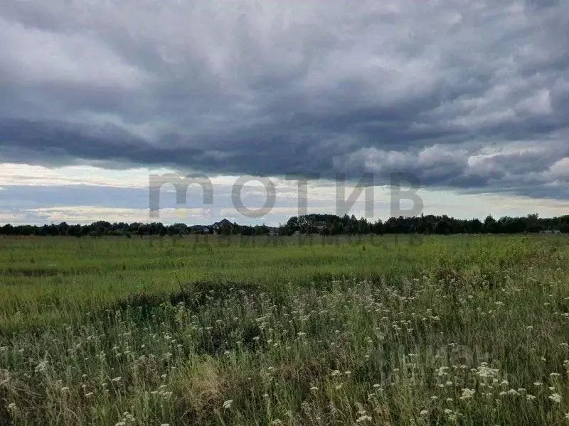 Участок в Тюменская область, Тюменский муниципальный округ, с. ... - Фото 1