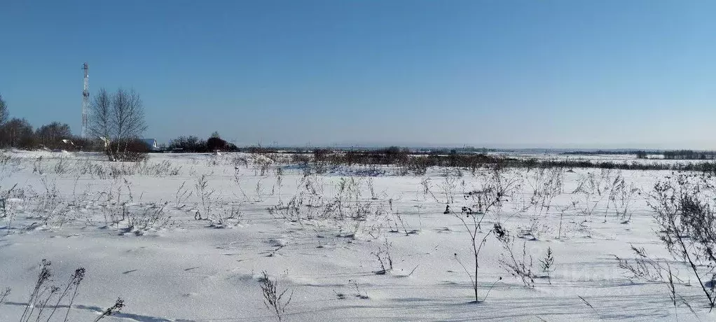 Участок в Московская область, Можайский муниципальный округ, д. ... - Фото 1