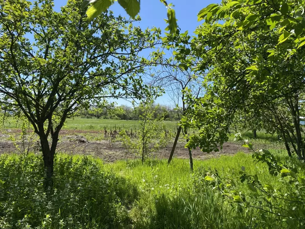 Участок в Краснодарский край, Лабинск Рассвет садоводческое ... - Фото 2