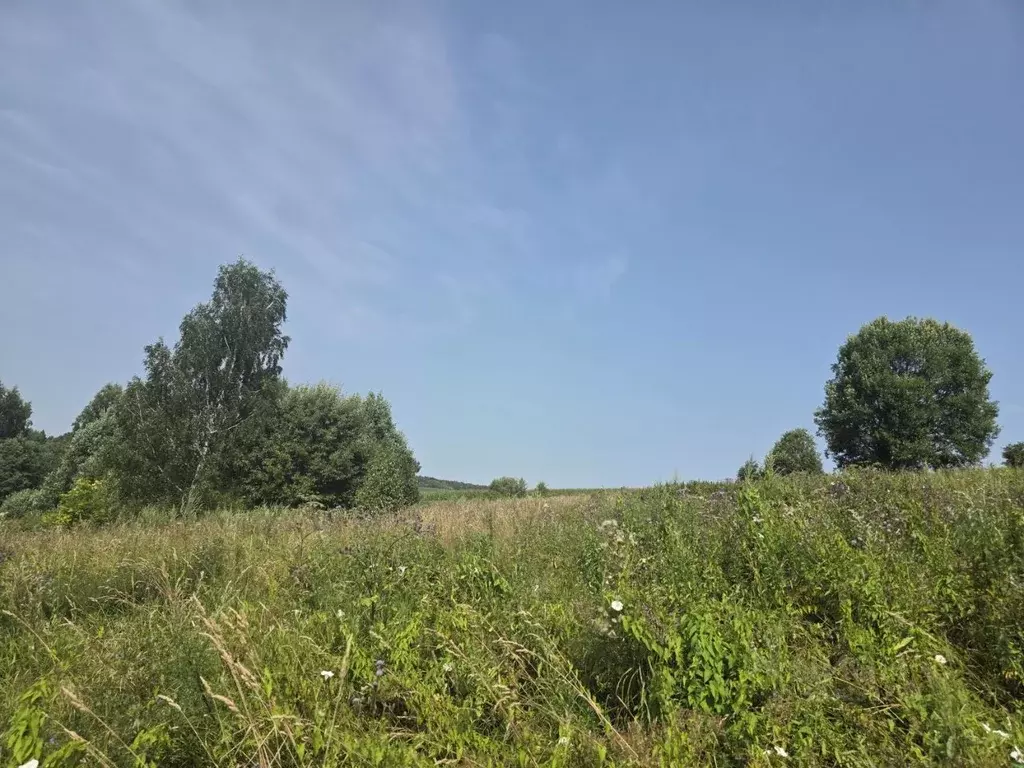 Участок в Московская область, Клин городской округ, д. Орлово ул. ... - Фото 1
