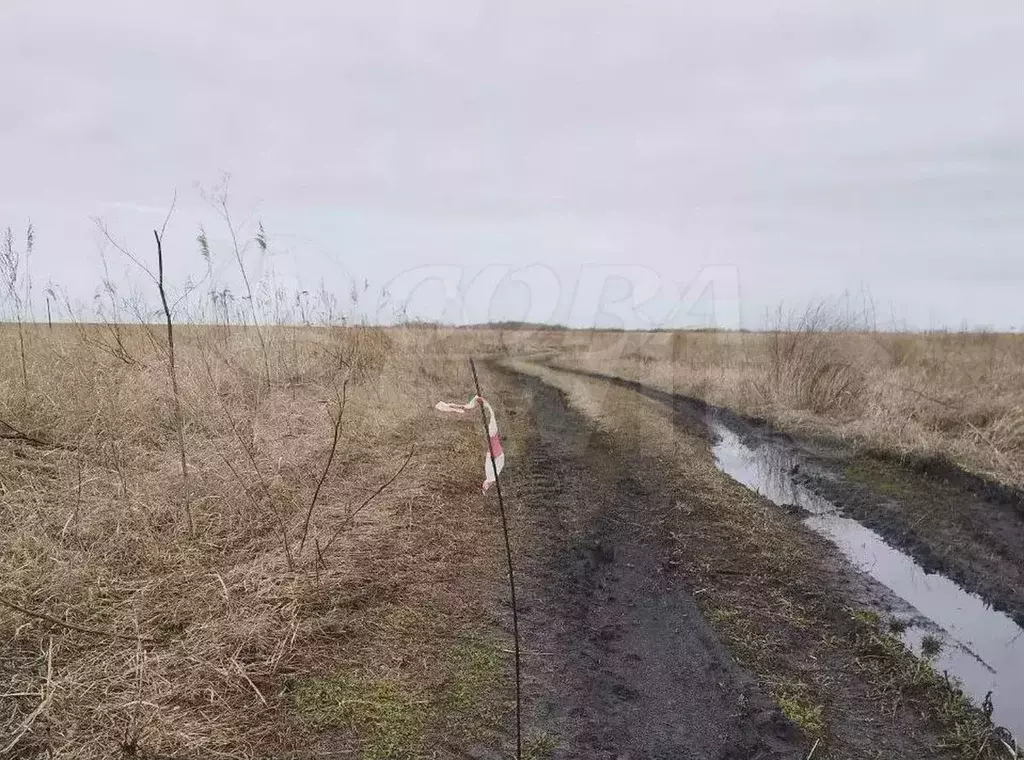 Участок 7,6 сот. (СНТ, ДНП) - Фото 1
