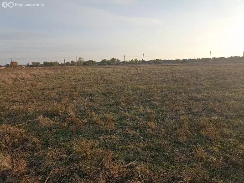 Участок в Камышеватская, Красная улица (18 м) - Фото 1
