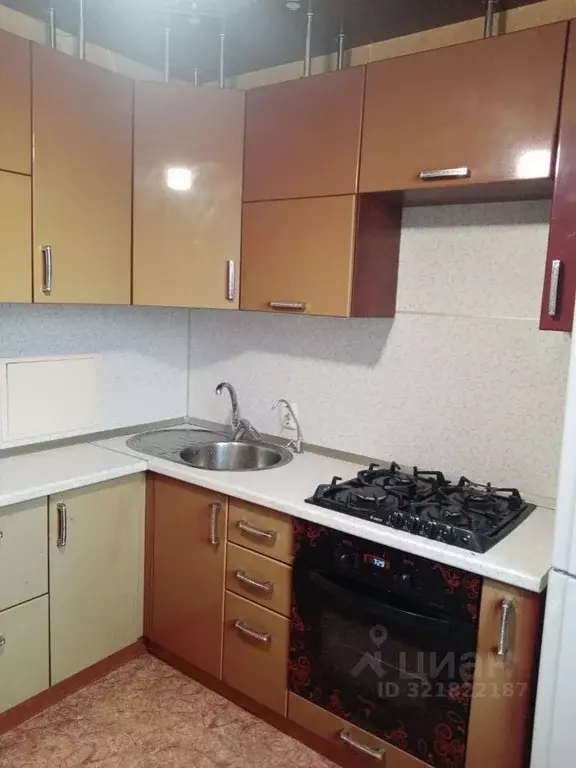 1-к кв. Липецкая область, Липецк ул. Вилли Огнева, 4 (33.1 м) - Фото 1