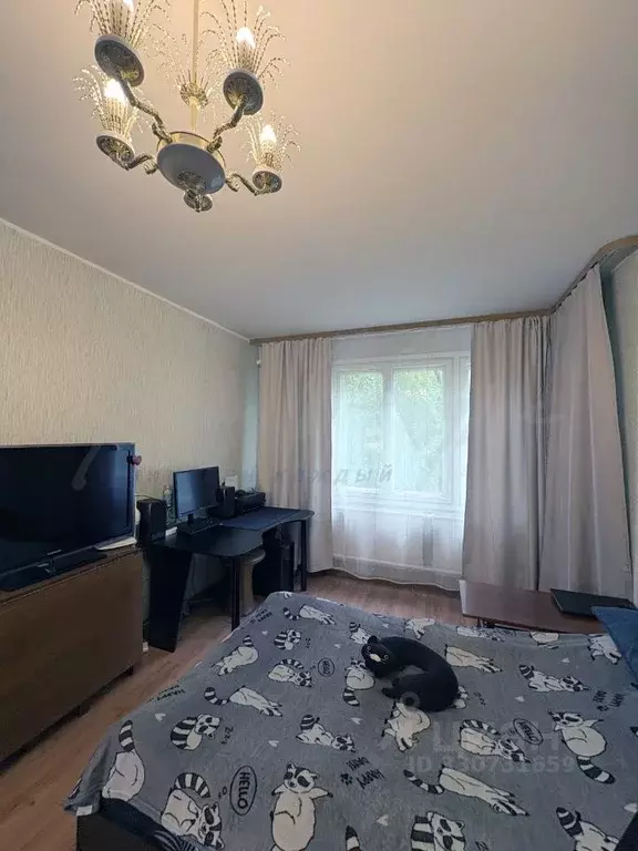 1-к кв. Санкт-Петербург ул. Руднева, 31/29 (32.7 м) - Фото 1
