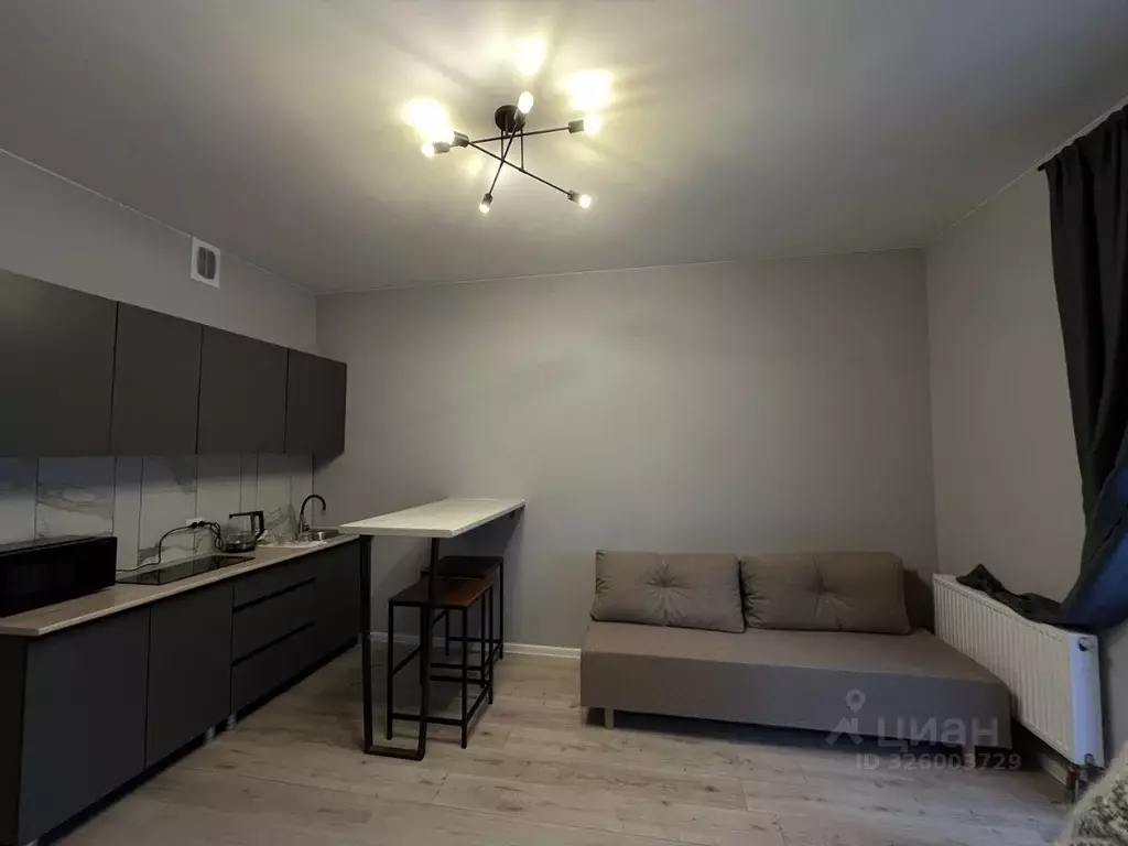 Студия Санкт-Петербург ул. Среднерогатская, 10к1 (22.7 м) - Фото 2