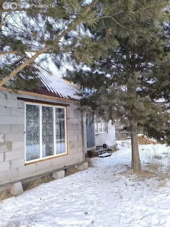 Дом в Тарбагатайский район, сельское поселение Заводское, ДНТ Ручеёк, ... - Фото 1