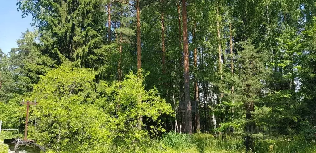 Дом в Ленинградская область, Гатчинский район, Вырица городской ... - Фото 1