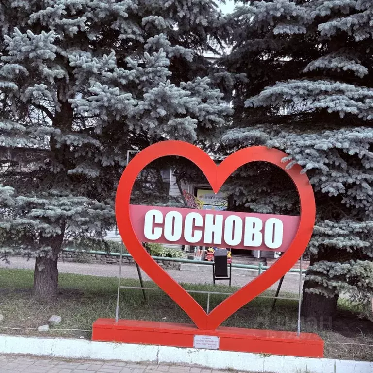 1-к кв. Ленинградская область, Приозерский район, пос. Сосново ул. ... - Фото 0