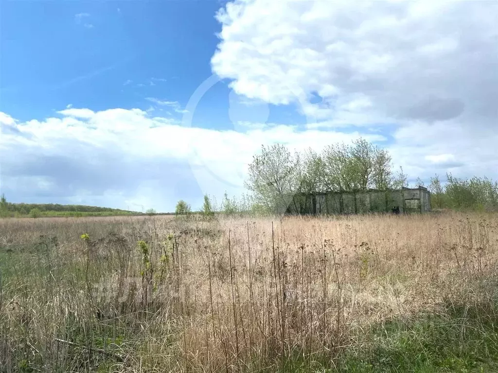 Участок в Рязанская область, Клепиковский район, Оськинское с/пос, д. ... - Фото 1