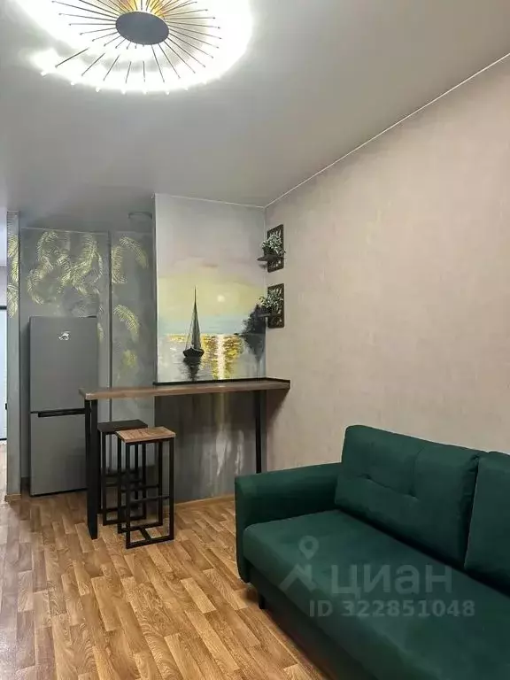 Студия Псковская область, Остров ул. Освобождения, 7А (27.0 м) - Фото 1