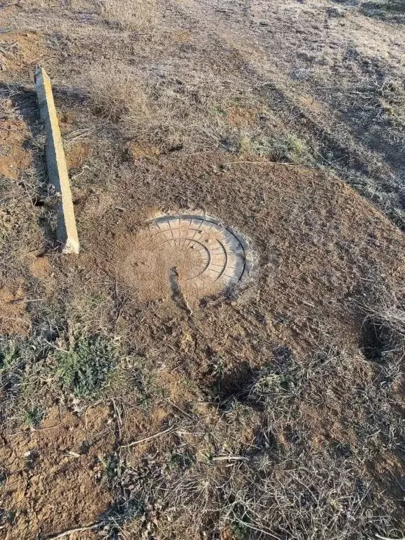 Участок в Крым, Раздольненский район, Славновское с/пос, Отдых СНТ  ... - Фото 1