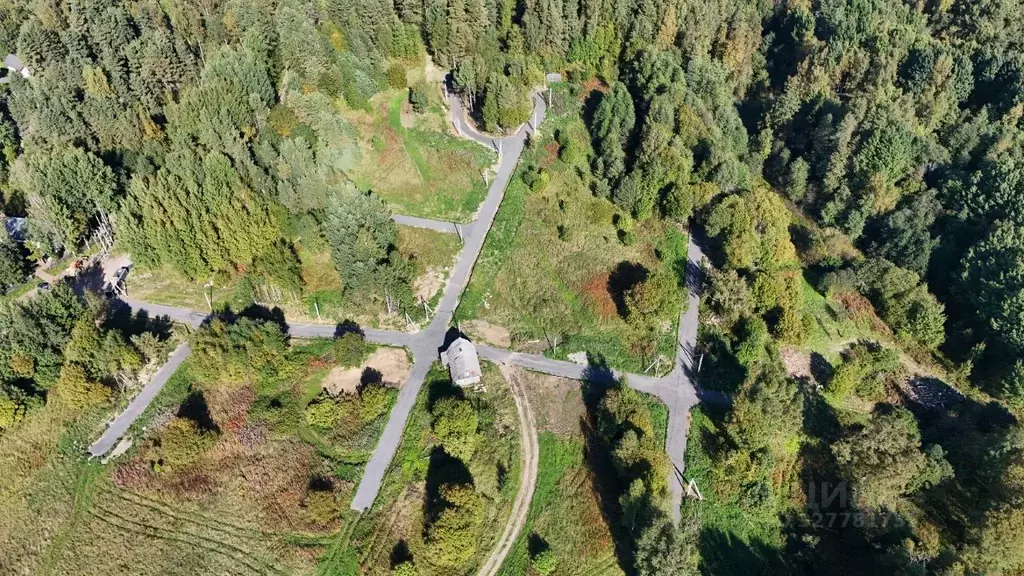 Участок в Ленинградская область, Тосненский район, Красный Бор ... - Фото 2