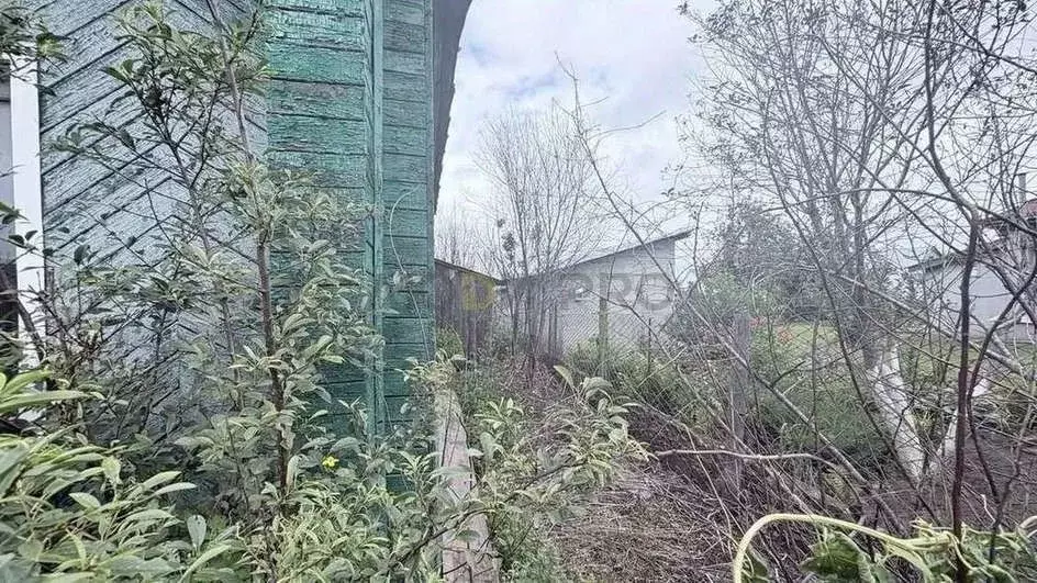 Дом в Алтайский край, Новоалтайск Советская ул., 37 (32 м) - Фото 2