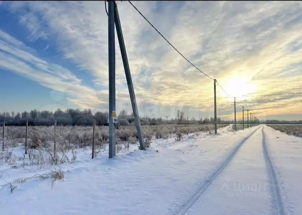 Участок в Тюменская область, Тюменский район, с. Горьковка  (7.5 сот.) - Фото 0