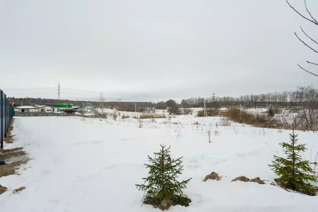 Участок в Ленинградская область, Ломоносовский район, Горбунковское ... - Фото 1