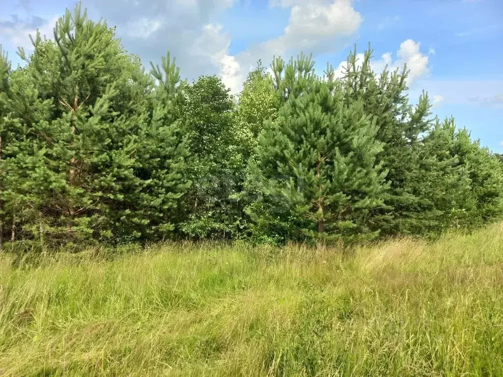 Участок в Ярославская область, Угличский муниципальный округ, ... - Фото 1