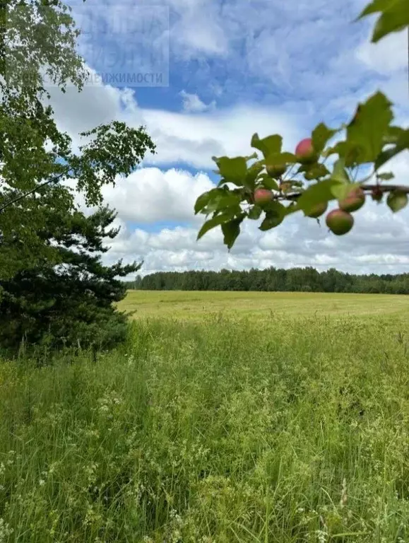 Участок в Ивановская область, Ивановский муниципальный округ, д. ... - Фото 1