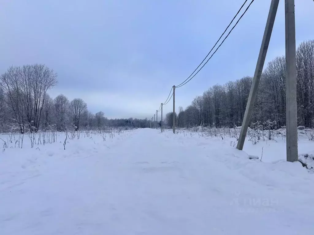 Участок в Ленинградская область, Ломоносовский район, Лопухинское ... - Фото 2