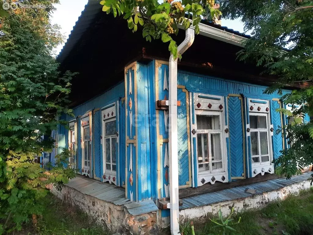 Дом в село Петрокаменское, улица Дарвина, 17 (25 м) - Фото 1