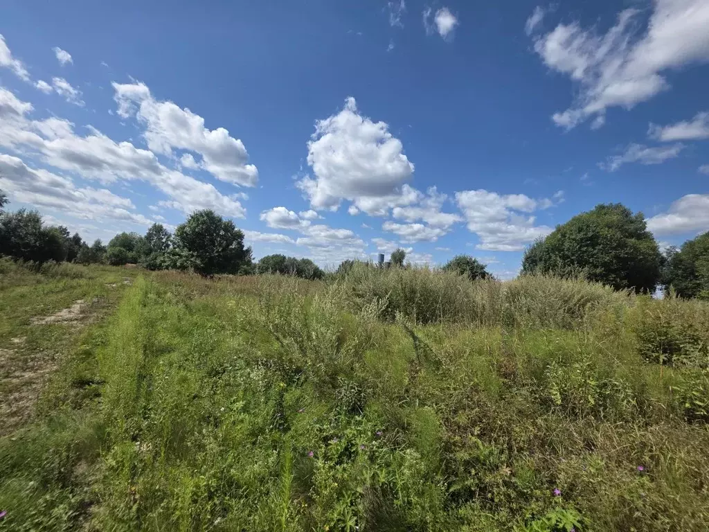 Участок в Московская область, Клин городской округ, д. Алферьево  ... - Фото 2