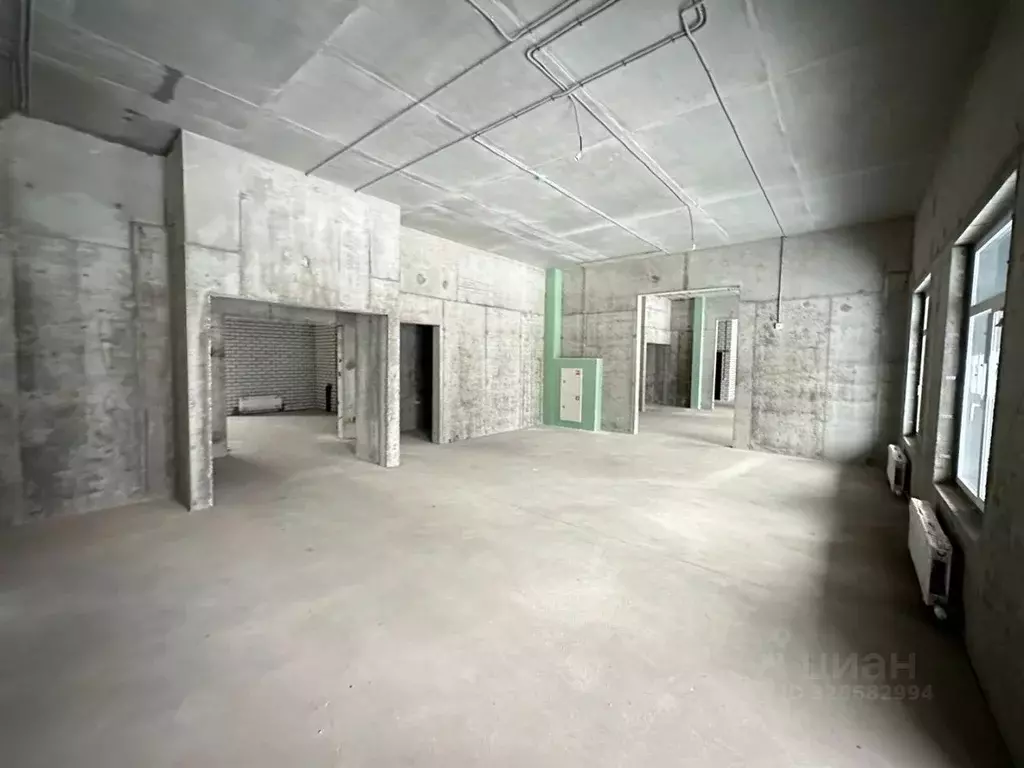 Помещение свободного назначения в Татарстан, Казань ул. Николая ... - Фото 2