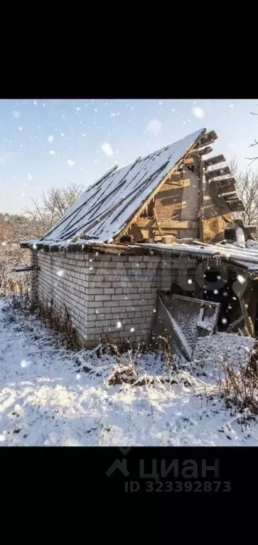 Участок в Нижегородская область, Нижний Новгород Дружба СНТ,  (5.2 ... - Фото 2