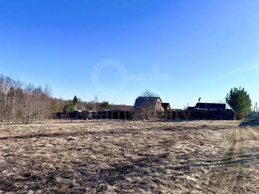 Участок в Московская область, Рузский муниципальный округ, д. Мамошино ... - Фото 2