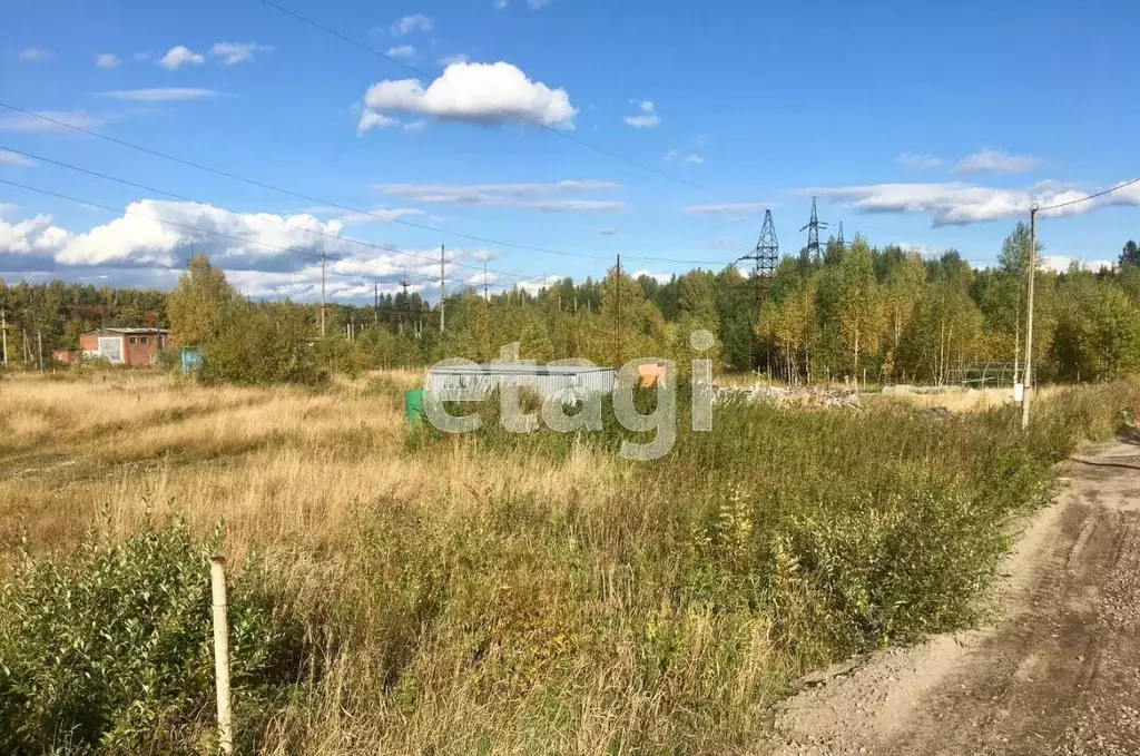 Участок в Свердловская область, Горноуральский городской округ, с. ... - Фото 0