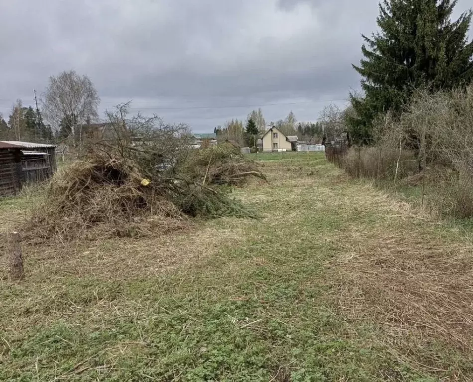 Участок в Ленинградская область, Гатчинский муниципальный округ, д. ... - Фото 2