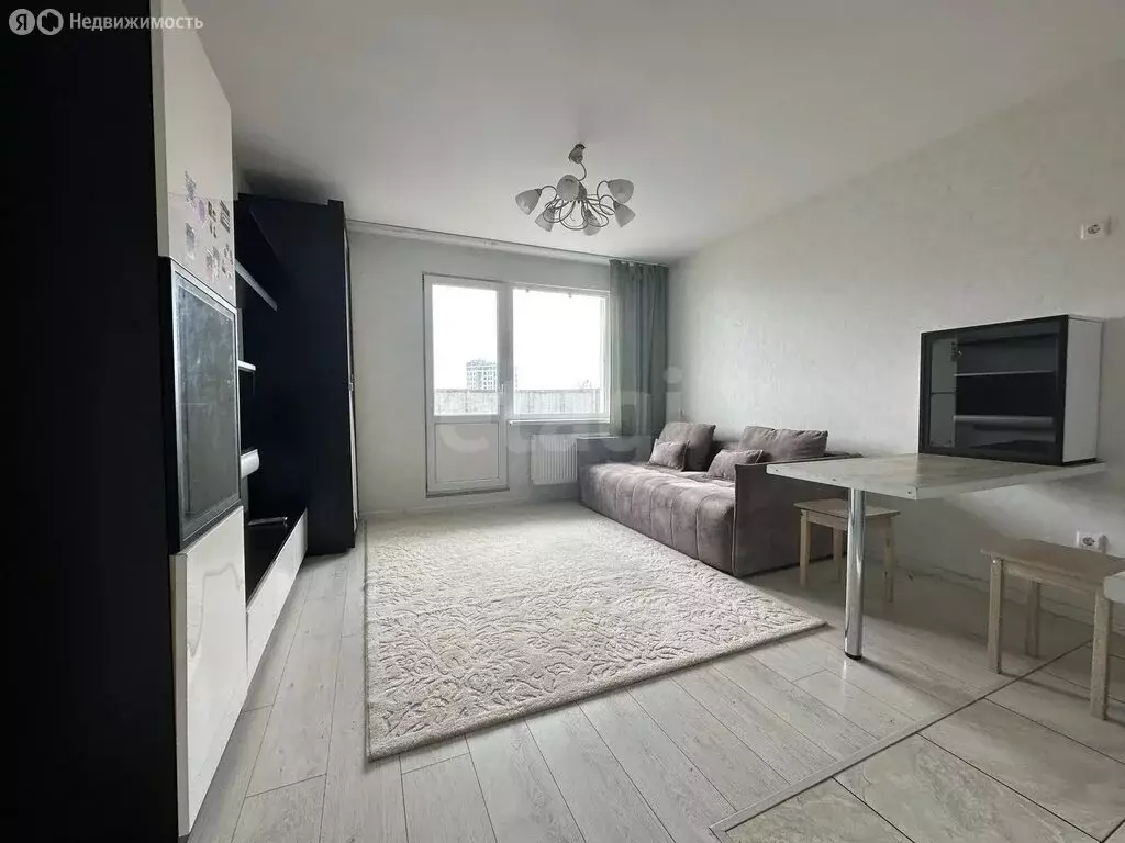 Квартира-студия: посёлок Шушары, Новгородский проспект, 2к1 (24.5 м) - Фото 2