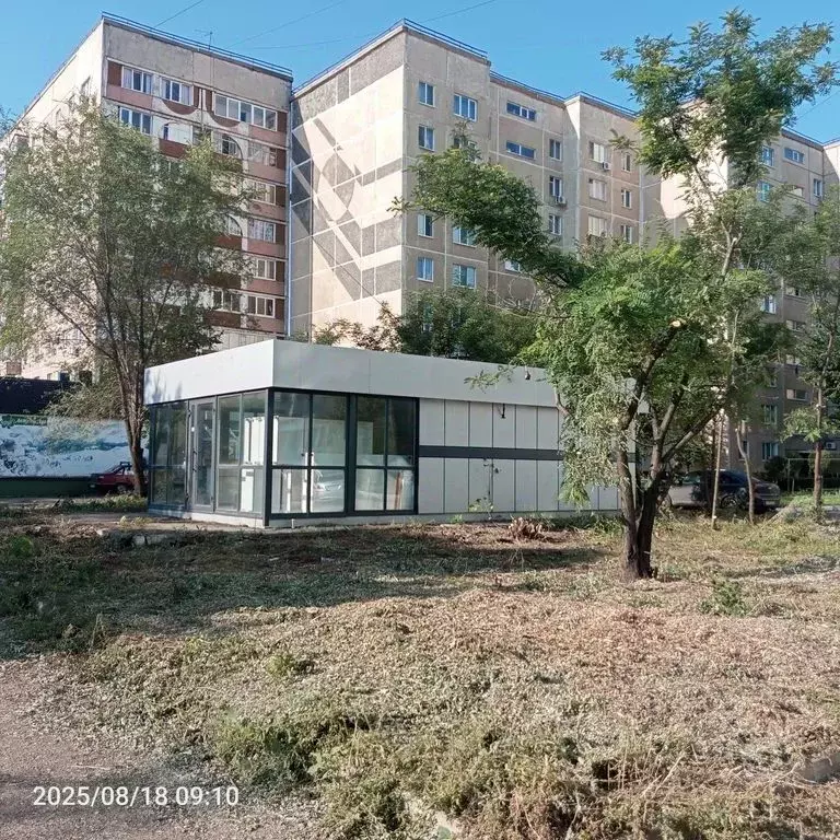 Торговая площадь в Оренбургская область, Оренбург ул. Терешковой, ... - Фото 1
