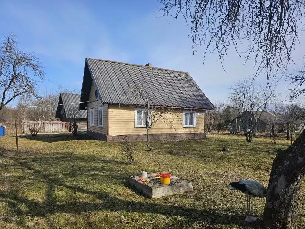 Дом в Псковская область, Печорский муниципальный округ, д. Паниковичи ... - Фото 2