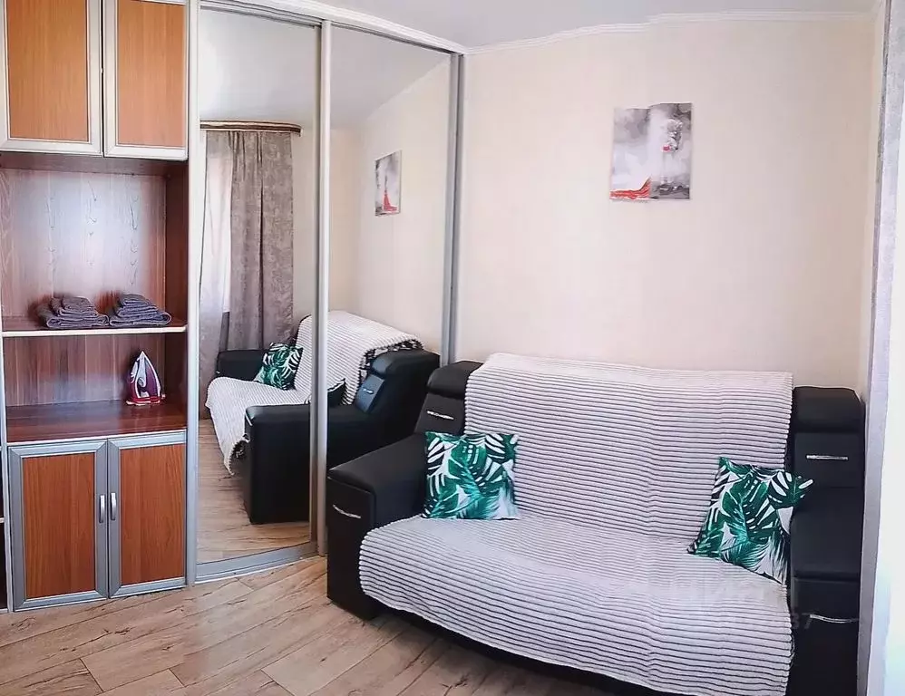 1-к кв. Хабаровский край, Хабаровск Тихоокеанская ул., 171А (23.0 м) - Фото 1
