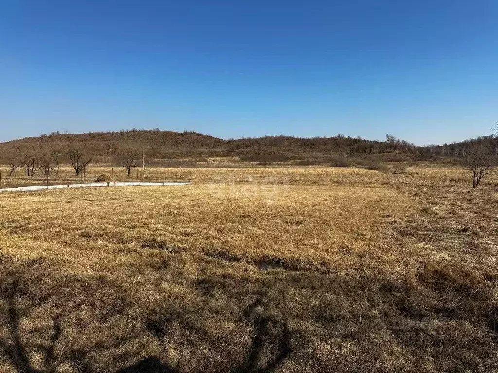 Участок в Амурская область, Благовещенский район, с. Чигири  (30.0 ... - Фото 1