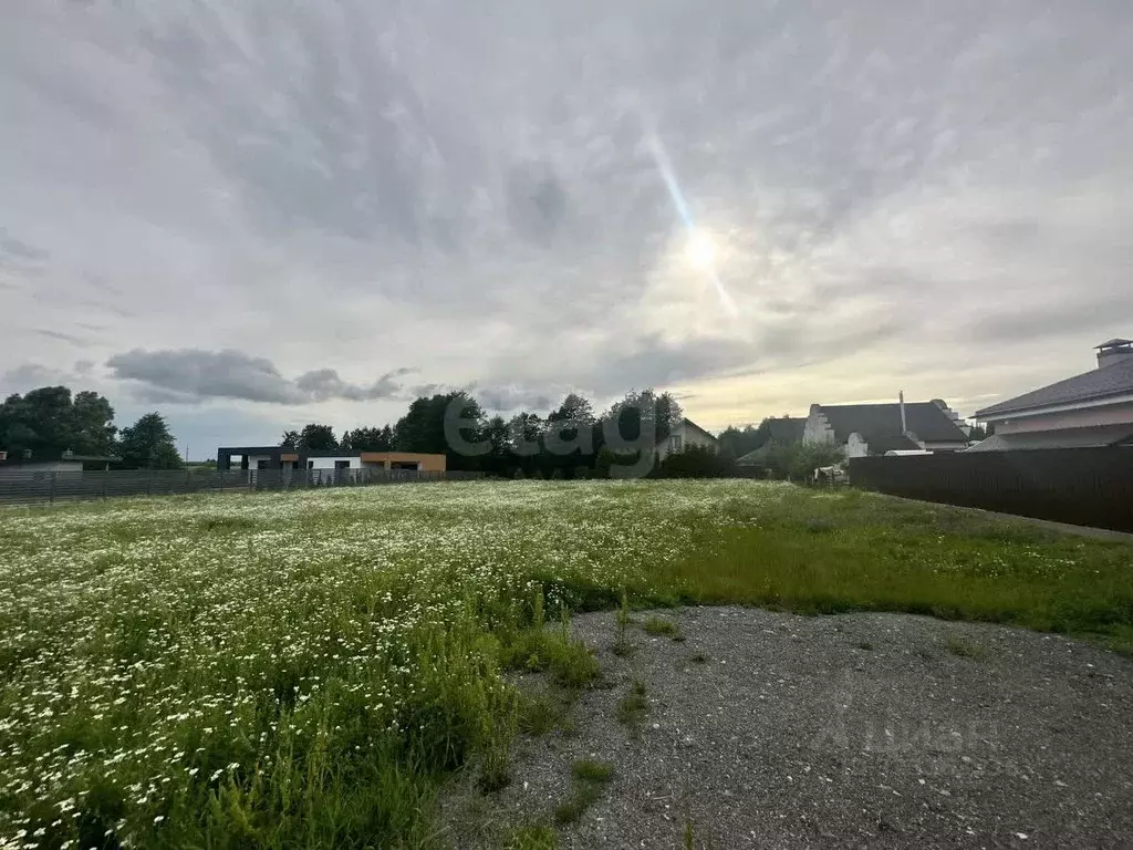 Участок в Калининградская область, Гурьевский муниципальный округ, ... - Фото 2