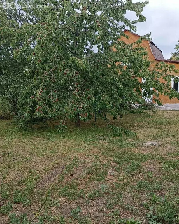 Дом в Рассветовское сельское поселение, садоводческое некоммерческое ... - Фото 0
