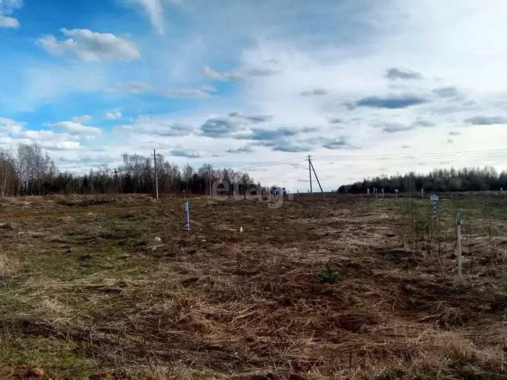 участок в нижегородская область, богородский муниципальный округ, д. . - Фото 0