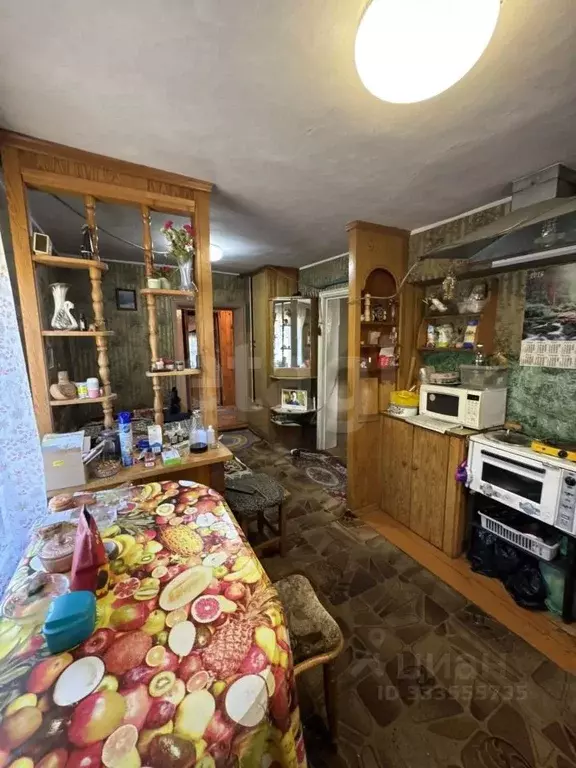 Дом в Алтай, Горно-Алтайск ул. Григория Чорос-Гуркина, 93 (29 м) - Фото 1