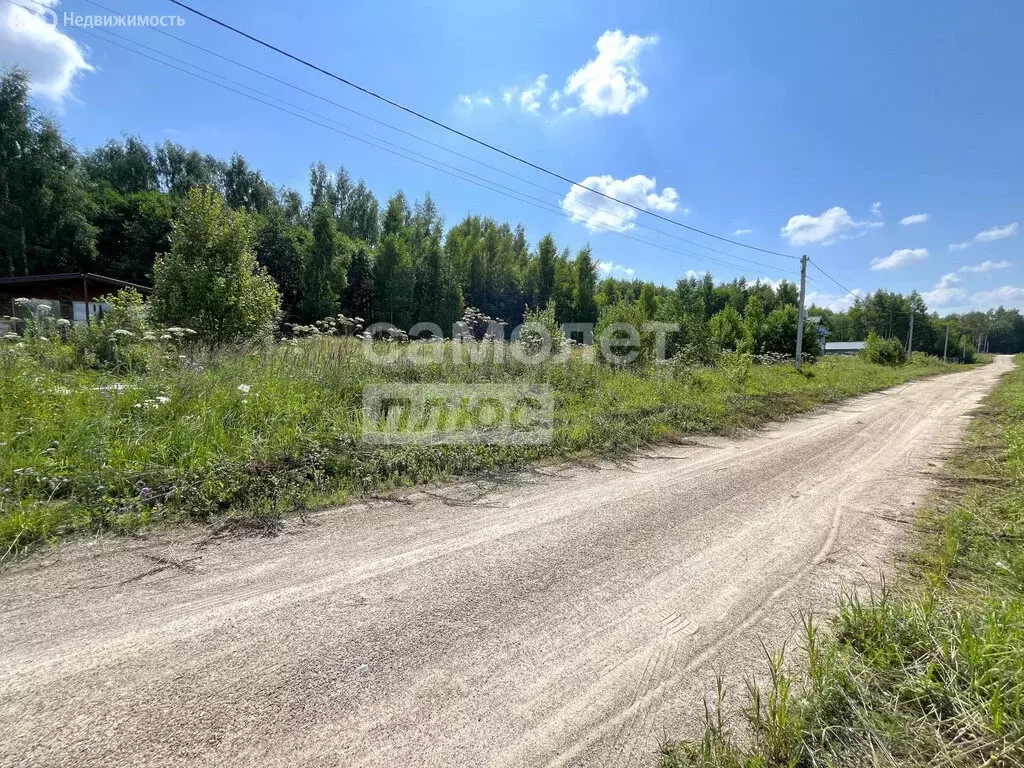 Участок в Ярославская область, Переславль-Залесский муниципальный ... - Фото 2