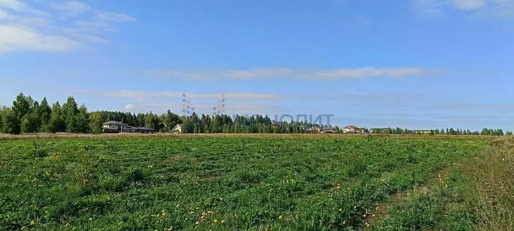 Участок в Нижегородская область, Богородский муниципальный округ, ... - Фото 1