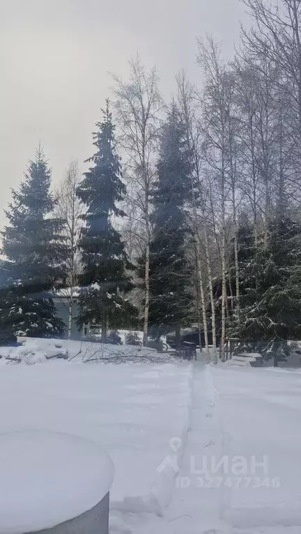 Участок в Ленинградская область, Выборгский район, Приморское ... - Фото 2