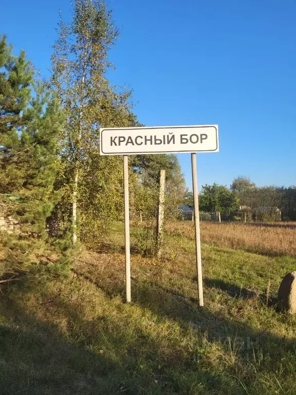 Участок в Тверская область, Калининский муниципальный округ, д. ... - Фото 1