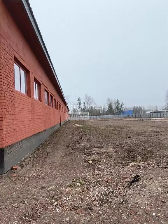 Производственное помещение в Московская область, Рошаль ул. Косякова ... - Фото 2