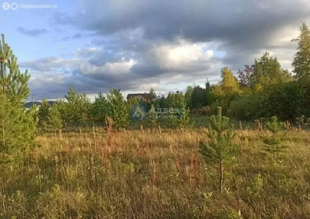 Участок в Свердловская область, Тугулымский муниципальный округ, село ... - Фото 1